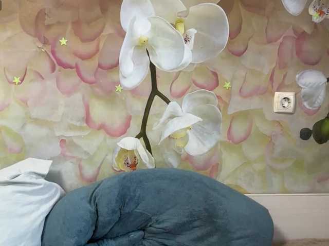 BrandeeOleson live cam on BongaCams