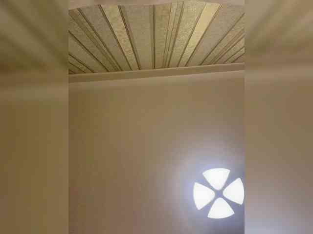 Aven7