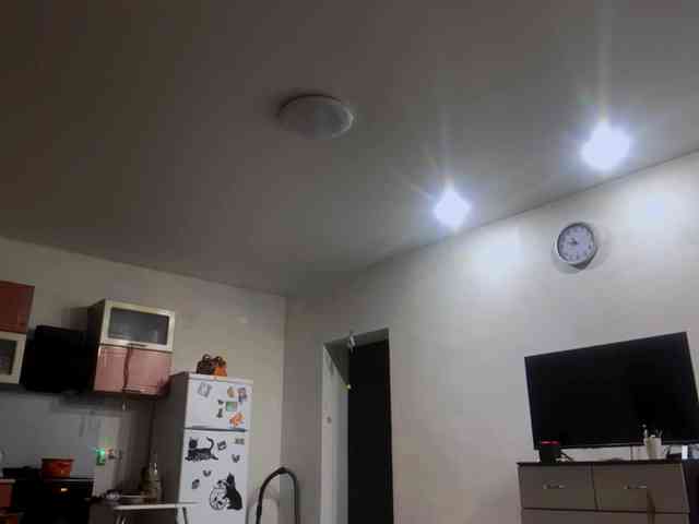 LoritaWhisted webcam