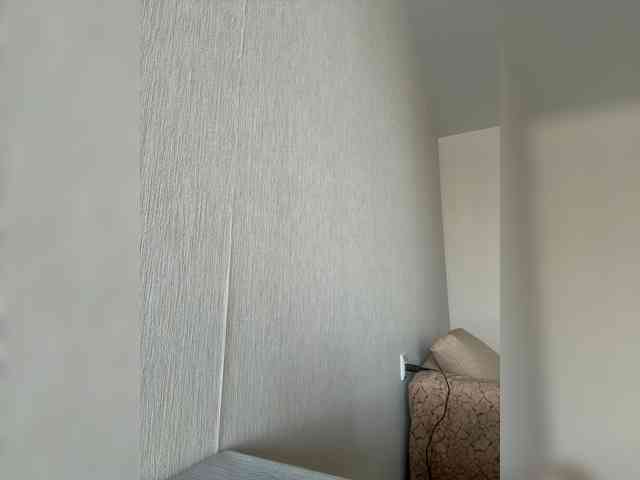 AnitaSi webcam