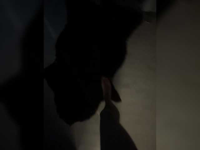 Maddycats0420