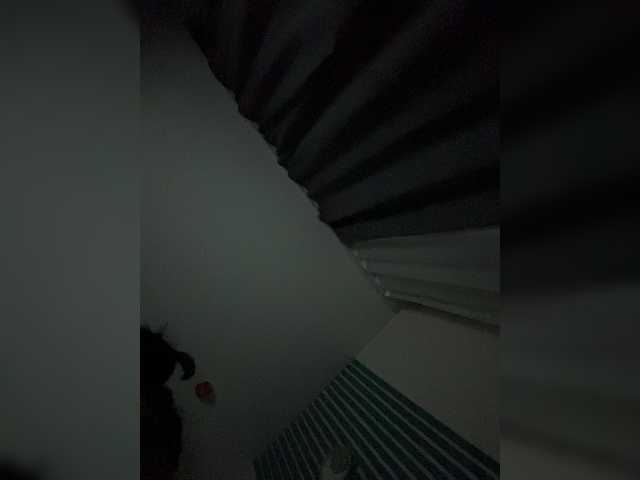 Maddycats0420
