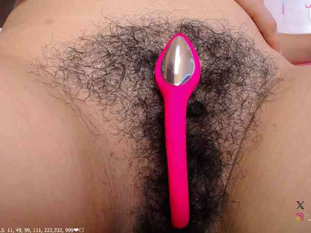 KAROLKAT webcam