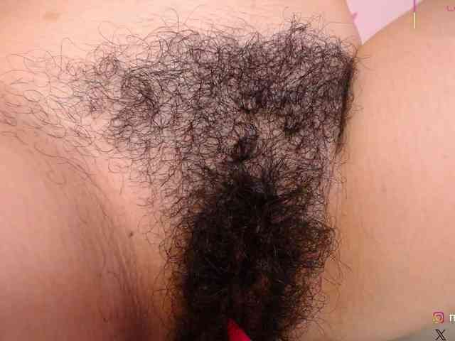 KAROLKAT webcam