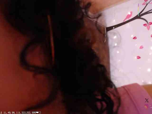 KAROLKAT webcam