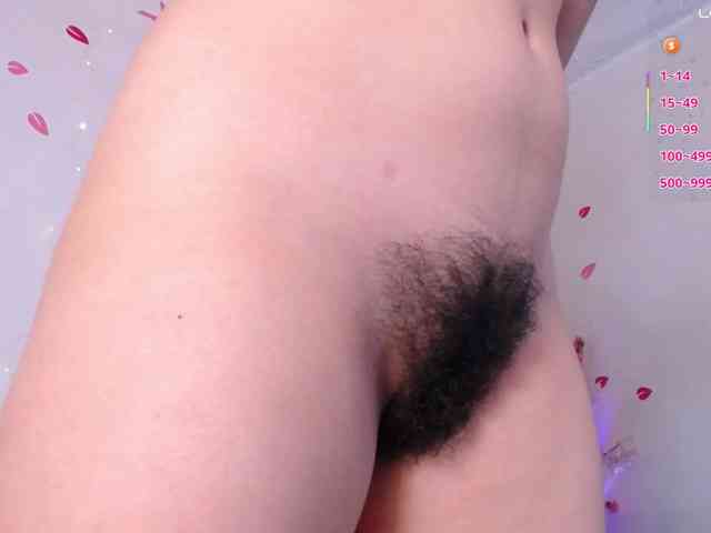 KAROLKAT webcam