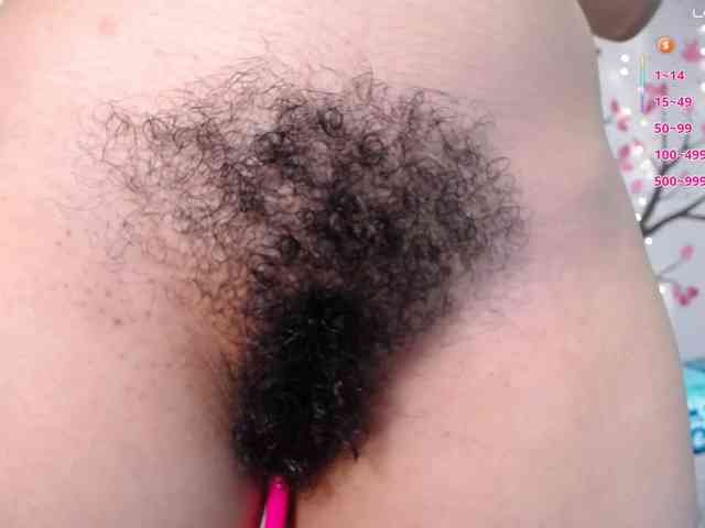 KAROLKAT webcam