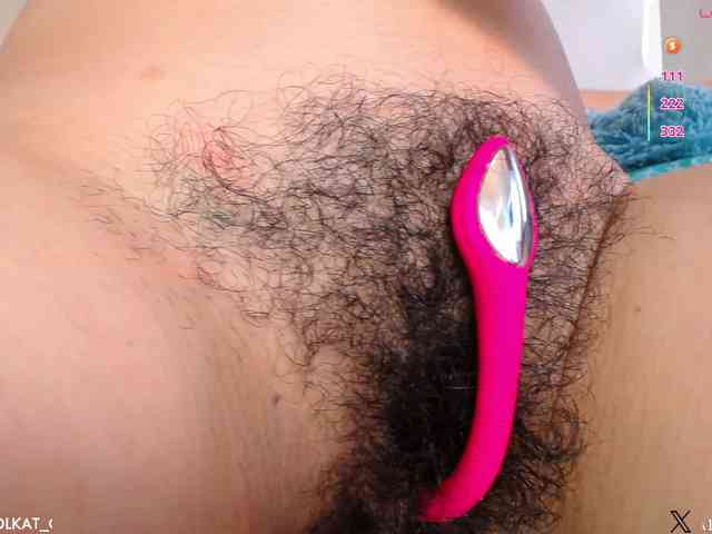 KAROLKAT webcam