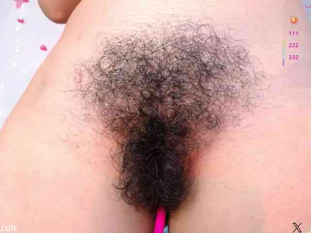 KAROLKAT webcam