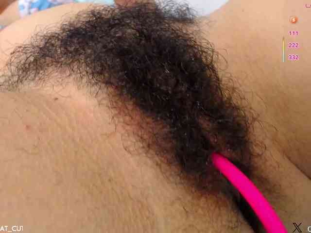 KAROLKAT webcam