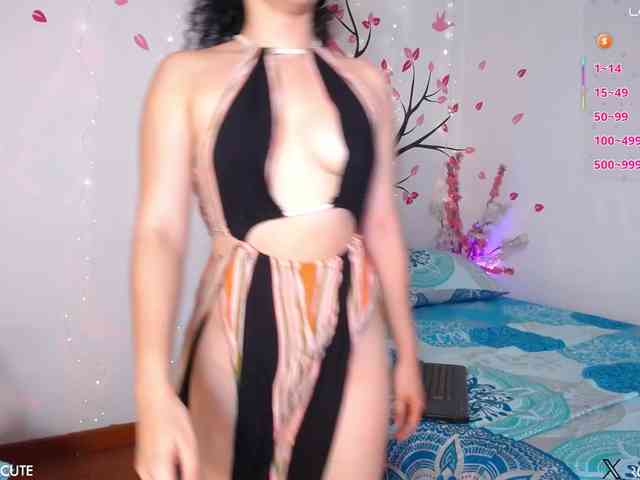 KAROLKAT webcam