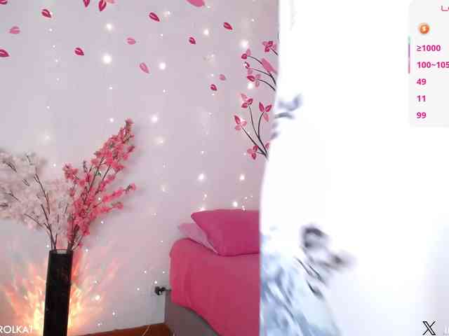 KAROLKAT webcam
