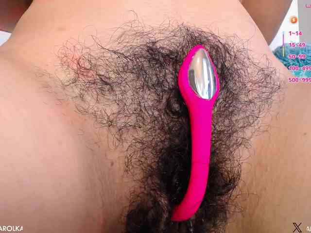 KAROLKAT webcam