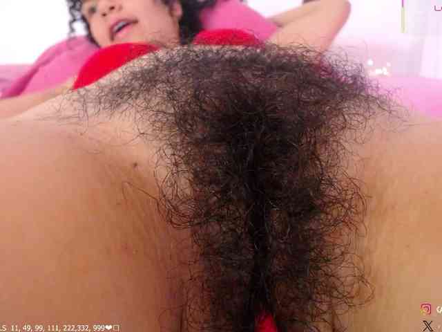 KAROLKAT webcam