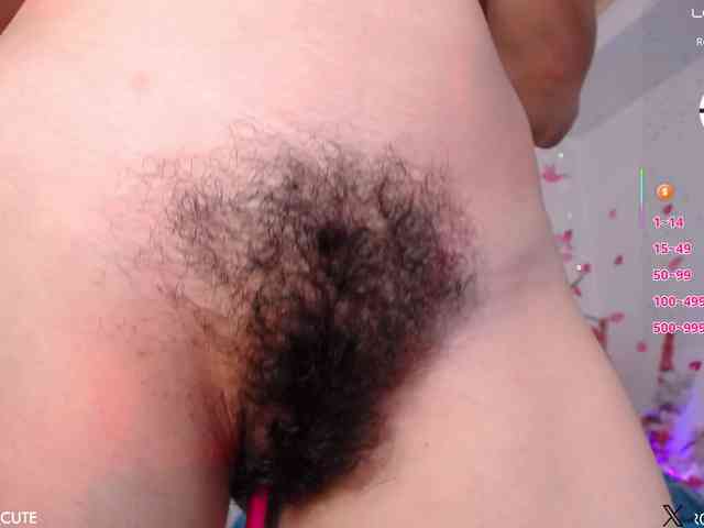 KAROLKAT webcam