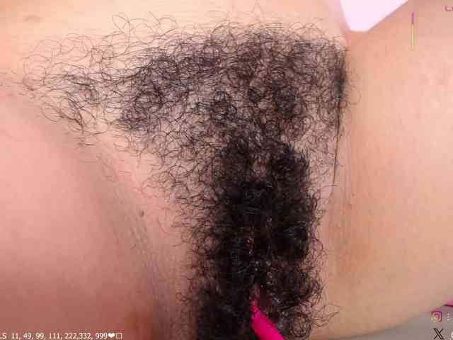 KAROLKAT webcam