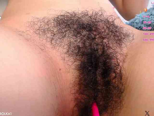 KAROLKAT webcam