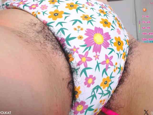 KAROLKAT webcam