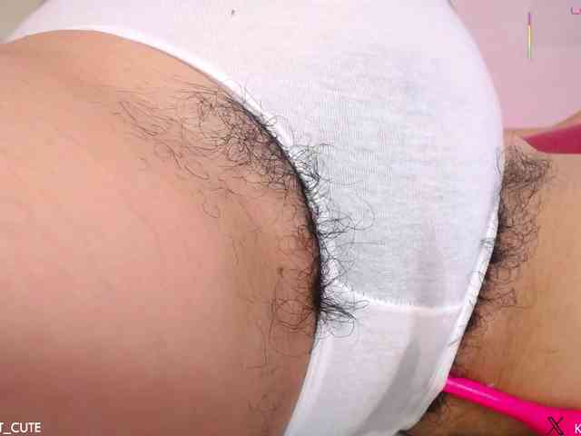KAROLKAT webcam