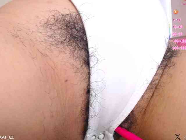 KAROLKAT webcam