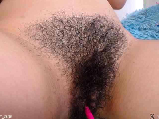 KAROLKAT webcam