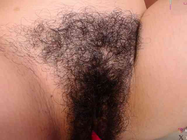 KAROLKAT webcam