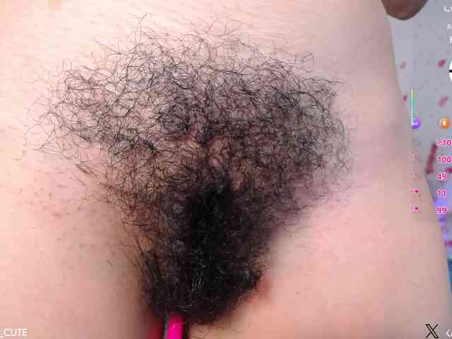 KAROLKAT webcam