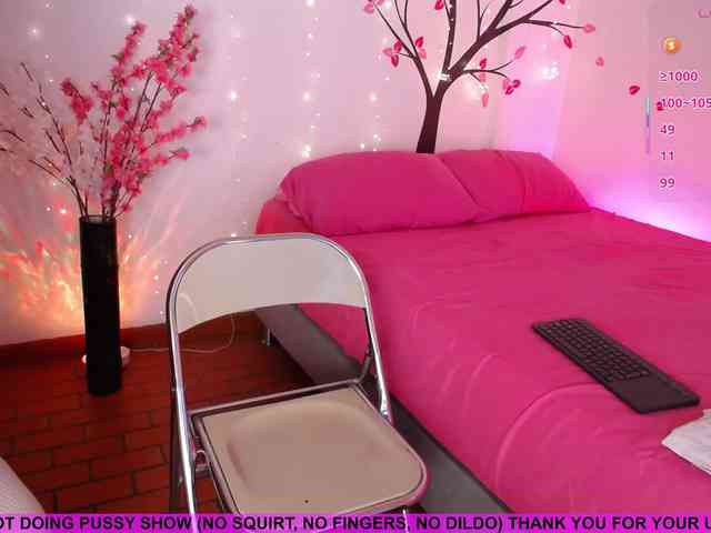 KAROLKAT webcam