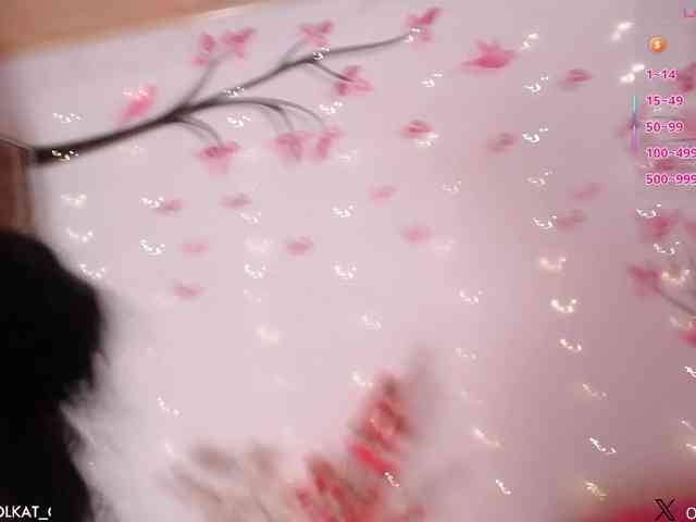 KAROLKAT webcam