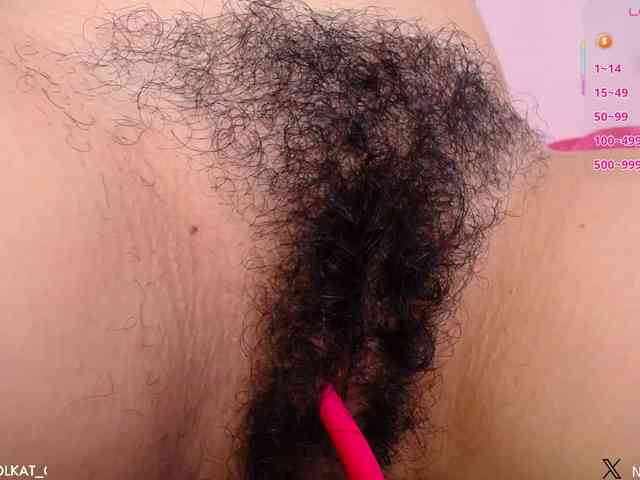 KAROLKAT webcam