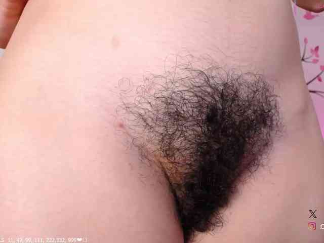 KAROLKAT webcam