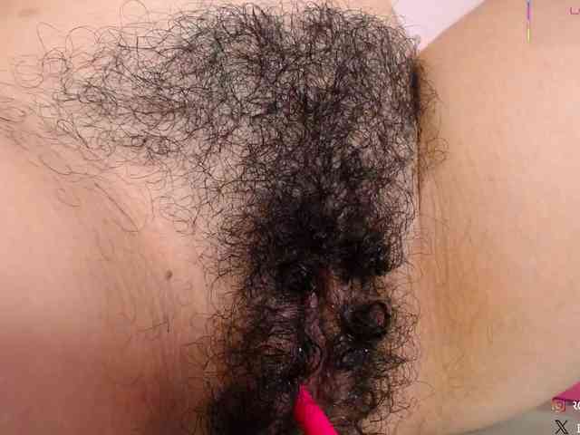 KAROLKAT webcam