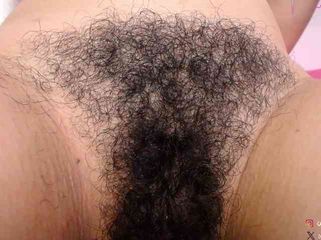 KAROLKAT webcam