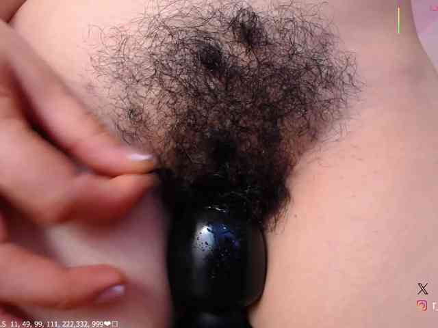 KAROLKAT webcam