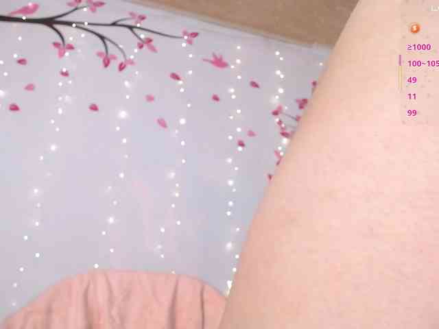 KAROLKAT webcam