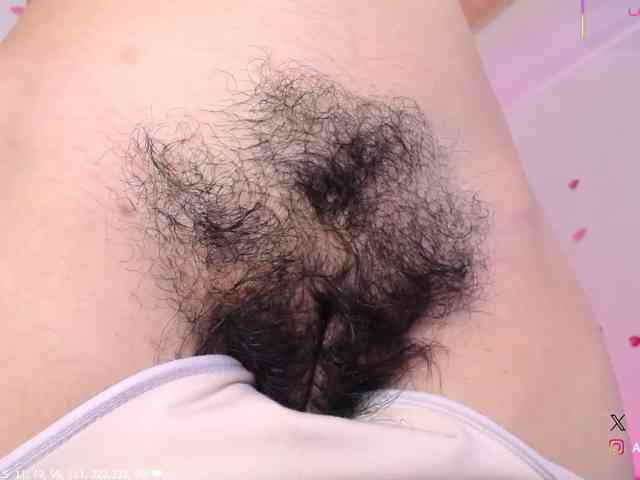 KAROLKAT webcam