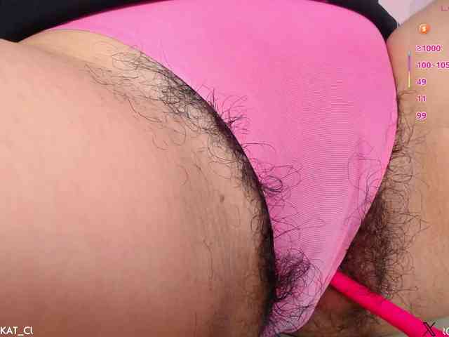 KAROLKAT webcam