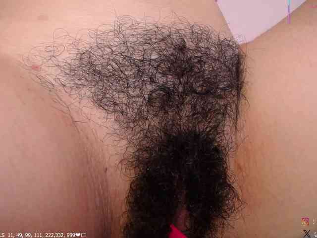 KAROLKAT webcam