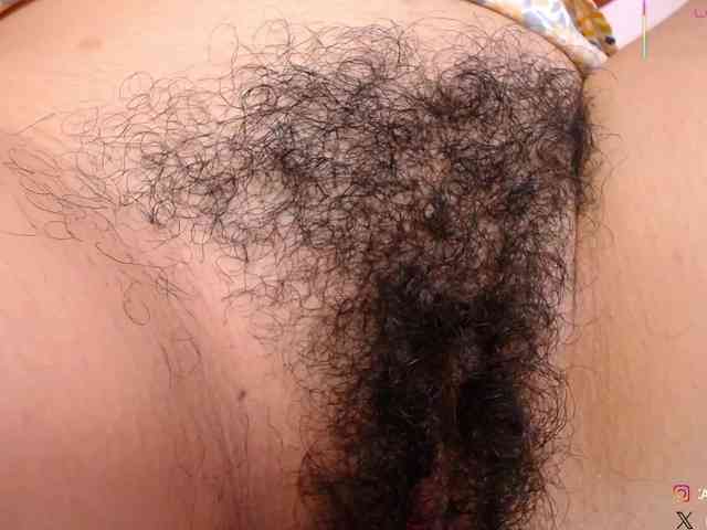 KAROLKAT webcam