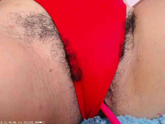 KAROLKAT webcam