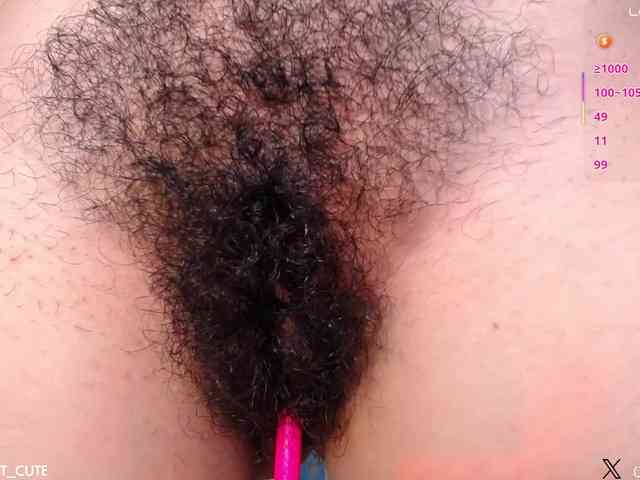 KAROLKAT webcam
