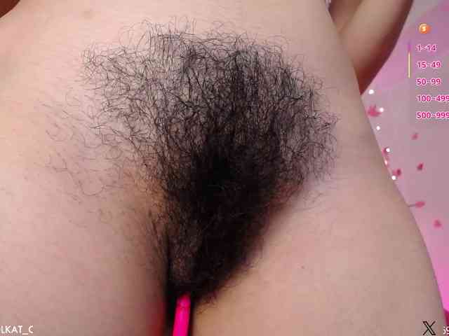 KAROLKAT webcam