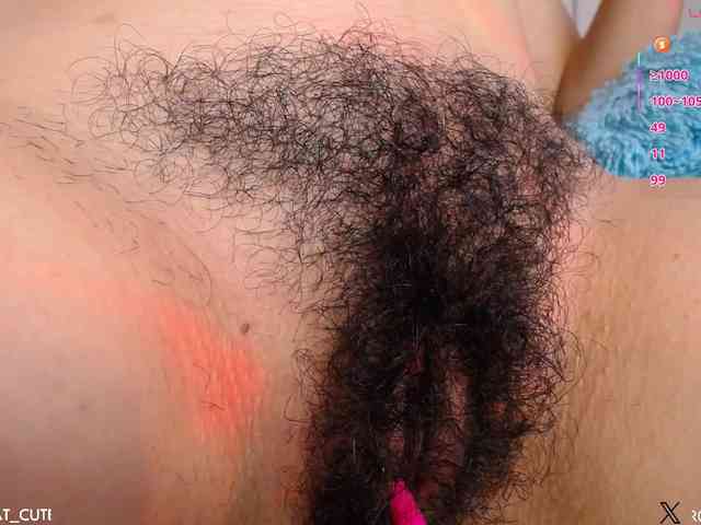 KAROLKAT webcam