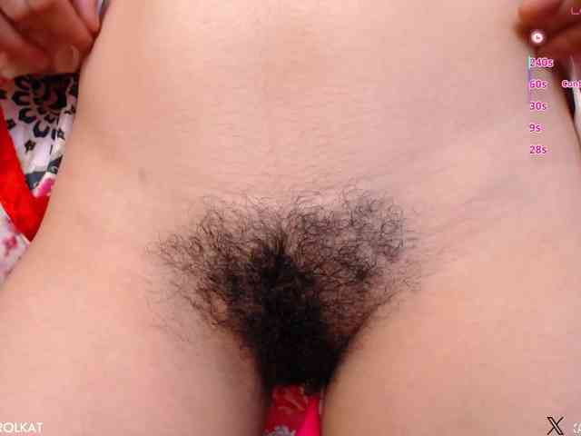 KAROLKAT webcam
