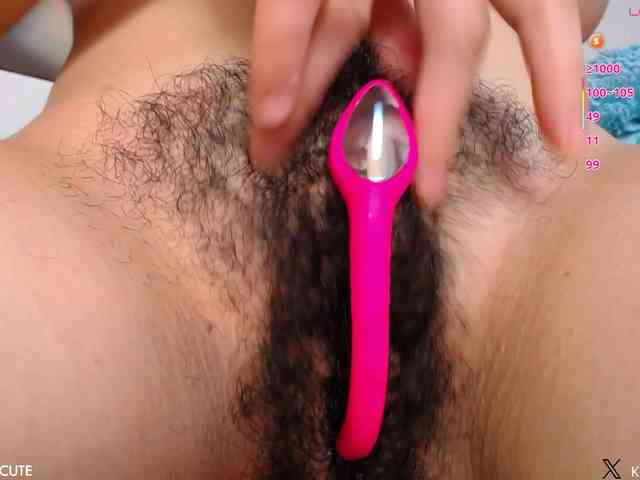 KAROLKAT webcam