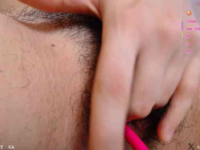 KAROLKAT webcam