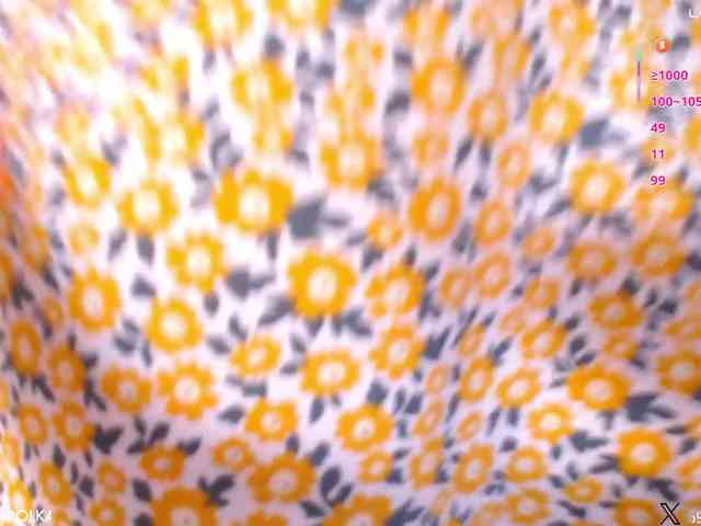 KAROLKAT webcam