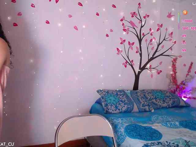 KAROLKAT webcam