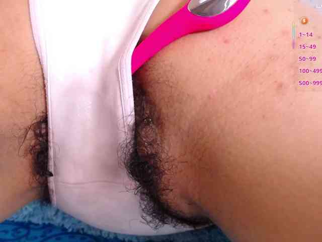 KAROLKAT webcam