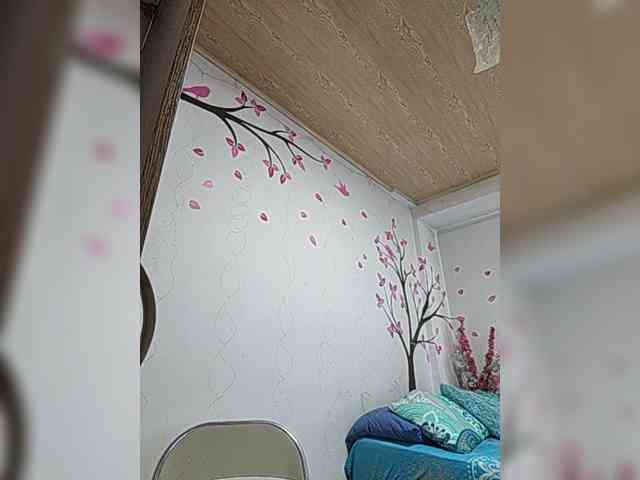 KAROLKAT webcam